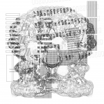 Asia with Multi-Standard 202108031436