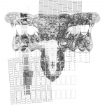 Asia with Multi-Standard 202108040448