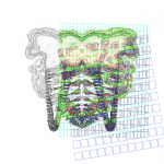 Asia with Multi-Standard 202108050411