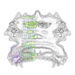Asia with Multi-Standard 202108050738