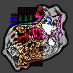 Just alive (with no particular aim) with Multi-Standard 20210616