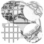 Just alive (with no particular aim) with Multi-Standard 20210714 CompoundDigitalMicroscope version