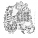 Just alive (with no particular aim) with Multi-Standard 20210718