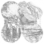 Just alive (with no particular aim) with Multi-Standard 20210718 CompoundDigitalMicroscope version