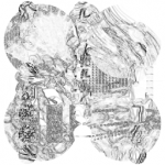 Just alive (with no particular aim) with Multi-Standard 20210718 Recursive CompoundDigitalMicroscope version