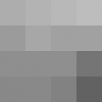 SellingLoose 479-238