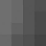 SellingLoose 479-240