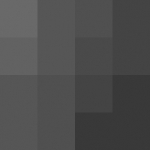 SellingLoose 479-241