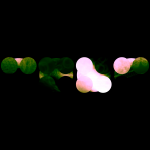 A day in Asia 20210608 RecursiveCompoundDigitalMicroscope version