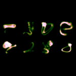 A day in Asia 20210610