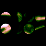 A day in Asia 20210610 CompoundDigitalMicroscope version