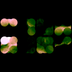 A day in Asia 20210610 RecursiveCompoundDigitalMicroscope version