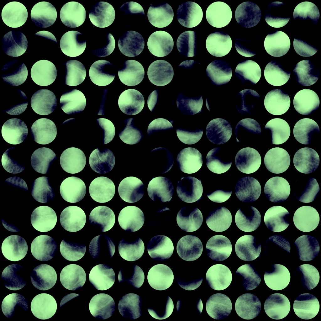 A day in Asia 20210612 CompoundDigitalMicroscope version