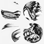 A day in Asia 20210620 CompoundDigitalMicroscope version