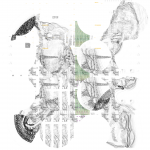 Fragmentasia 20210720 CompoundDigitalMicroscope version