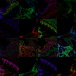 A day in Asia 20210728 RecursiveCompoundDigitalMicroscope version