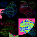 A day in Asia 20210729 RecursiveCompoundDigitalMicroscope version