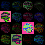 A day in Asia 20210729 CompoundDigitalMicroscope version