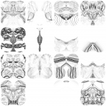 A day in Asia 20210730 RecursiveCompoundDigitalMicroscope version