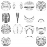 A day in Asia 20210730 CompoundDigitalMicroscope version