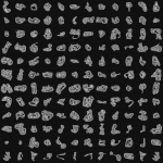 A day in Asia 20210603