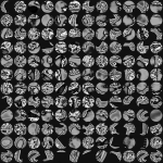 A day in Asia 20210603 CompoundDigitalMicroscope version