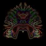 A day in Asia 202108080335