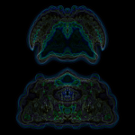 A day in Asia 202108110605