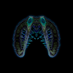 A day in Asia 202108131608