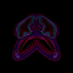 A day in Asia 202108142206