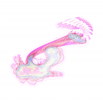 A day in Asia 202108170613