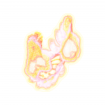 A day in Asia 202108180035