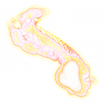 A day in Asia 202108180405