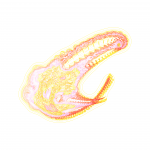 A day in Asia 202108181133