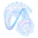 A day in Asia 202108190527