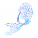 A day in Asia 202108190851