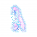 A day in Asia 202108191700