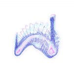 A day in Asia 202108201633