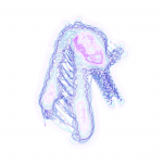 A day in Asia 202108201920