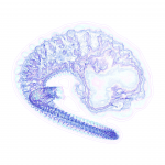 A day in Asia 202108202331