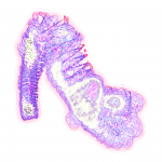 A day in Asia 202108211024