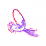 A day in Asia 202108211649