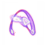 A day in Asia 202108212009