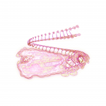 A day in Asia 202108220249