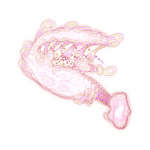 A day in Asia 202108222057