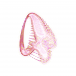 A day in Asia 202108222344