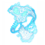 A day in Asia 202108230509