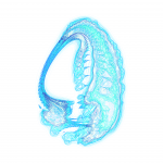 A day in Asia 202108231837