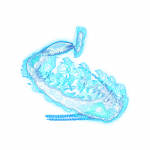 A day in Asia 202108231932