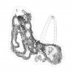 A day in Asia 202108240613